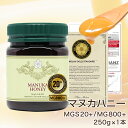 【2019年マラソン初売り!】 【30本限定】 マヌカハニー MGS 20+ /MG 800+ 250g 1本