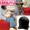 バランスボール内蔵 ジェリーフィッシュチェアー 初盆【あす楽】ベーシック スパイス【送料無料】ギフトセット エクササイズDVD付き 洗えるカバー ながらフィットネス 椅子 イス デザインチェア お中元 プレゼント 内祝い 出産祝い 結婚祝い お祝い お返し お祝い返し