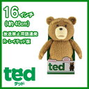 TED テッド ぬいぐるみ 16インチ(約40cm) 「R-レイテッド版」 映画 グッズプレオーダー 予約品 コメディ 映画 テッド Teddy Bear テディベア かわいい プレゼント しゃべる 喋る オヤジ おしゃべり ローラ 有吉 R指定 大ヒット くまさん 熊