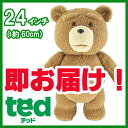 ԌZ[!! ݌ɂ Ted ebh ʂ 24C`(60cm)uR-ebhŁvuN[g[LO(ʏ)v f ObY Teddy Bear efBxA g DVD/^/u[C/̔/w/ʔ/ւ/rfI a av[g