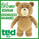 TED テッド ぬいぐるみ 実物大 24インチ60cm「R-レイテッド版」プレオーダー 予約品 コメディ 映画 テッド Teddy Bear テディベア かわいい プレゼント しゃべる 喋る オヤジ おしゃべり ローラ 有吉 R指定 大ヒット くまさん 熊