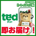[!!R-rated Ted ebh 6C` 15cm Teddy Bear efBxA@ׂʂ obNpbNNbv L[ONbv f ObY/DVD/^/u[C/ʔ/ւ/rfI NX}X NX}Xv[g