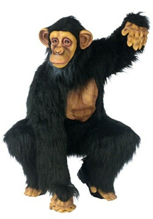 ハロウィン パーティ コスチューム チンパンジー 大人用 メンズ 男性用 衣装 衣装 学園…...:mars405:16616459