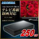 【テレビ録画対応】外付けハードディスク HDD 250GB ...
