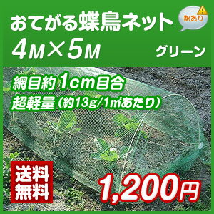 【レビュー割引】【訳あり商品】 【防鳥防蝶ネット】 【おてがる蝶鳥ネット】 【幅約4m×長さ約5m】 【果樹栽培にピッタリ／細かい目合いでも超軽量】