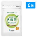大草原の乳酸菌NS-Max(36粒×6袋)+32粒(8粒×4袋)増量