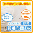 布団 クリーニング(羽毛ふとん 丸洗い) 宅配 初