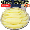 *2018年店長精一杯価格にて!送料無料【1年中出荷します!...