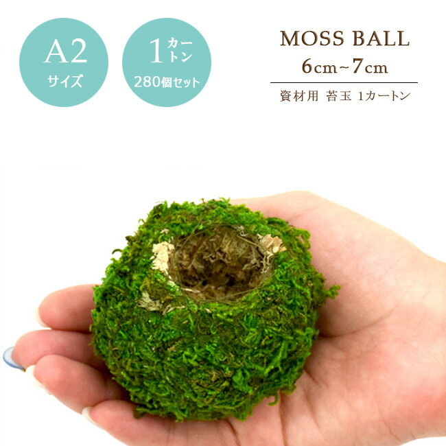 【1カートン】【資材苔玉A2サイズ】資材苔玉6〜7cmの苔玉 お徳用280個セット...:marubun-shop:10000163