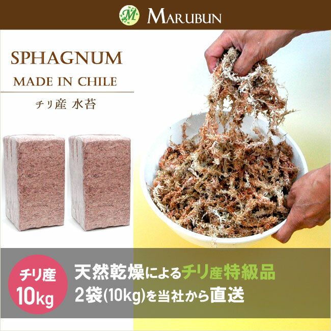 【2袋 10kg】チリ産 水苔5kg　A5特級品を園芸資材の専門業者の当社から直送！まとめ…...:marubun-shop:10000214