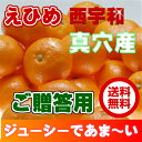 【送料無料】愛媛 西宇和産 真穴みかん M・Lサイズ 5kg【ご贈答用】【ギフト】【お歳暮】【温州みかん】【愛媛みかん】