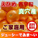 【送料無料】愛媛 西宇和 真穴みかん サイズ混合10kg【ご家庭用】【訳あり】【温州みかん】【まあなみかん】