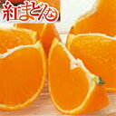 【送料無料】愛媛県産 紅まどんな サイズ L 2kg(約8〜10玉)【ご家庭用】【お取り寄せ