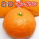 愛媛産 カラマンダリン L 5Kg 【家庭用】【南津海なつみ】【北海道・沖縄県は配送不可】