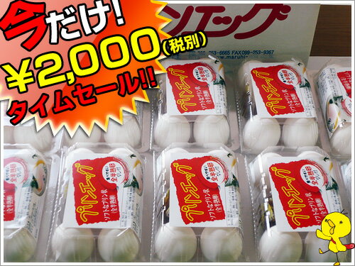 【受験生セール】プリンエッグ（温泉卵）一度食べたらヤミツキ温泉卵50個（タレ付）【プレゼン…...:maruhi:10000047