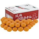 和歌山 紀南 木熟みかん 天(設定糖度基準12度) Mサイズ