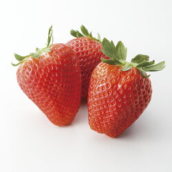 https://thumbnail.image.rakuten.co.jp/@0_mall/maruhiro-dep/cabinet/296104_1.jpg?_ex=500x500