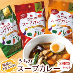 札幌の食卓 うちのスープカレー（あっさりトマト 昆布だし和風 濃厚エビ）各1袋（2食入）×3種類セット メール便 送料無料 <strong>スープカレーの素</strong> レトルト 北海道お土産