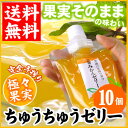 極々果実ちゅうちゅうゼリー10個セット2011年ニッポン全国ご当地おやつランキング第1位の絶品スイーツ！愛媛県田那部青果ギフト好適品愛媛産みかん♪ゴクゴク果汁 完全手絞りストレート ミカン 蜜柑