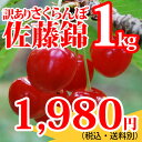 【早割】【訳あり】さくらんぼ佐藤錦1kg