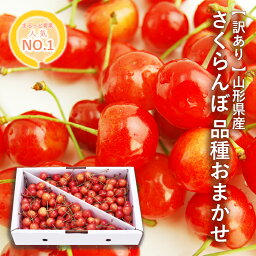 【訳あり】<strong>さくらんぼ</strong> 約1kg【2箱買うと送料無料】山形県産 品種おまかせ