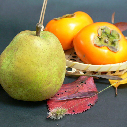 꽩̣ʪ򥻥åȤˤƤϤνβʪå