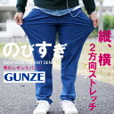 メンズ レギンス パンツ ストレッチ ニット デニム GUNZE【マルカワ グンゼ ブランド レギパン ジーパン ジーンズ ウエストゴム ポケット】