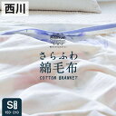 【アウトレット特価】西川 さらふわ綿毛布 リバーシブル シングル 西川 綿毛布 シング