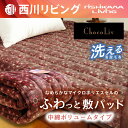 【10/20限定⇒クーポンで200円OFF】【西川リビング】...
