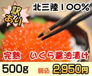 「訳あり」 いくら醤油漬け 500g 在庫あるだけ02P06jul13完熟イクラ 皮が固めで、歯ごたえがあります。あまちゃんの舞台より産地直送でお届け！いくら丼 海鮮丼 海鮮ラーメン シーフード