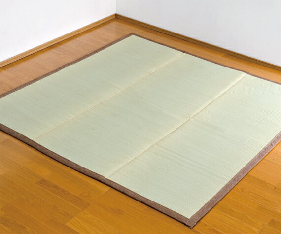 饰𥫡ڥåȥ꡼̵ۡڽ񻺤۶Ĵᵡǽե𡦾OKΥ饵鴶饰ڥåFXʥҥӥ200250cmڹʼ񻺡ۥҥвù