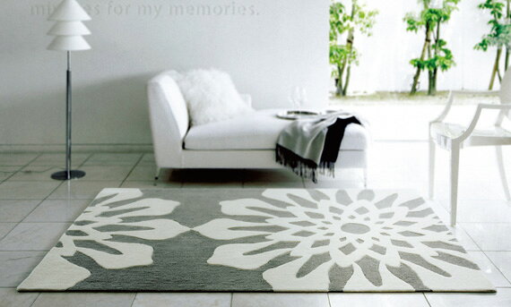 ̲ǥ饰꡼ʥ饰ޥåȡھOKۡڥ᡼ľʡ̵̲ۡǥ饰եSNCP_201_140_200140200cm