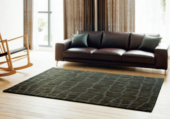 ͤΥǥ饰꡼̲饰ޥåȡھOKۡڰ¿ۡڥ᡼ľʡ̵ۡͤΥǥ饰SNTM_202_140_200140200cm