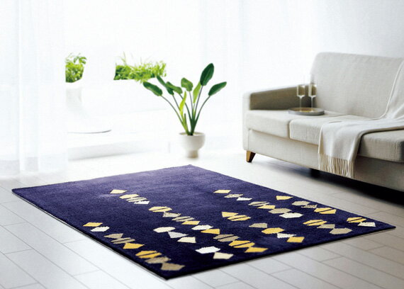 ͤΥǥ饰꡼̲饰ޥåȡھOKۡڰ¿ۡڥ᡼ľʡ̵ۡͤΥǥ饰졼ƥSNTM_204_140_200140200cm