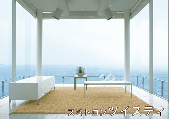 㥮饰ޥåȡڥåȥ꡼ڶðۤ60OFF̵ۡۡھ˼ۥåȥڥåбۥ㥮饰ޥåȡڥåȥߥΥߥȥĥƥ饰200200cmڥ᡼ľʡ