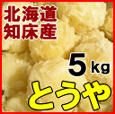 北海道産新じゃがいも!【とうや5kg】知床の麓より産地直送!...