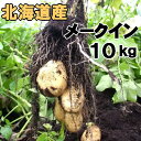 送料無料 新じゃがいも メークイン 10kg 北海道産 ジャガイモ 産地直送