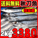 送料無料!訳ありじゃない北海道根室産冷凍サンマ【約2kg 1...