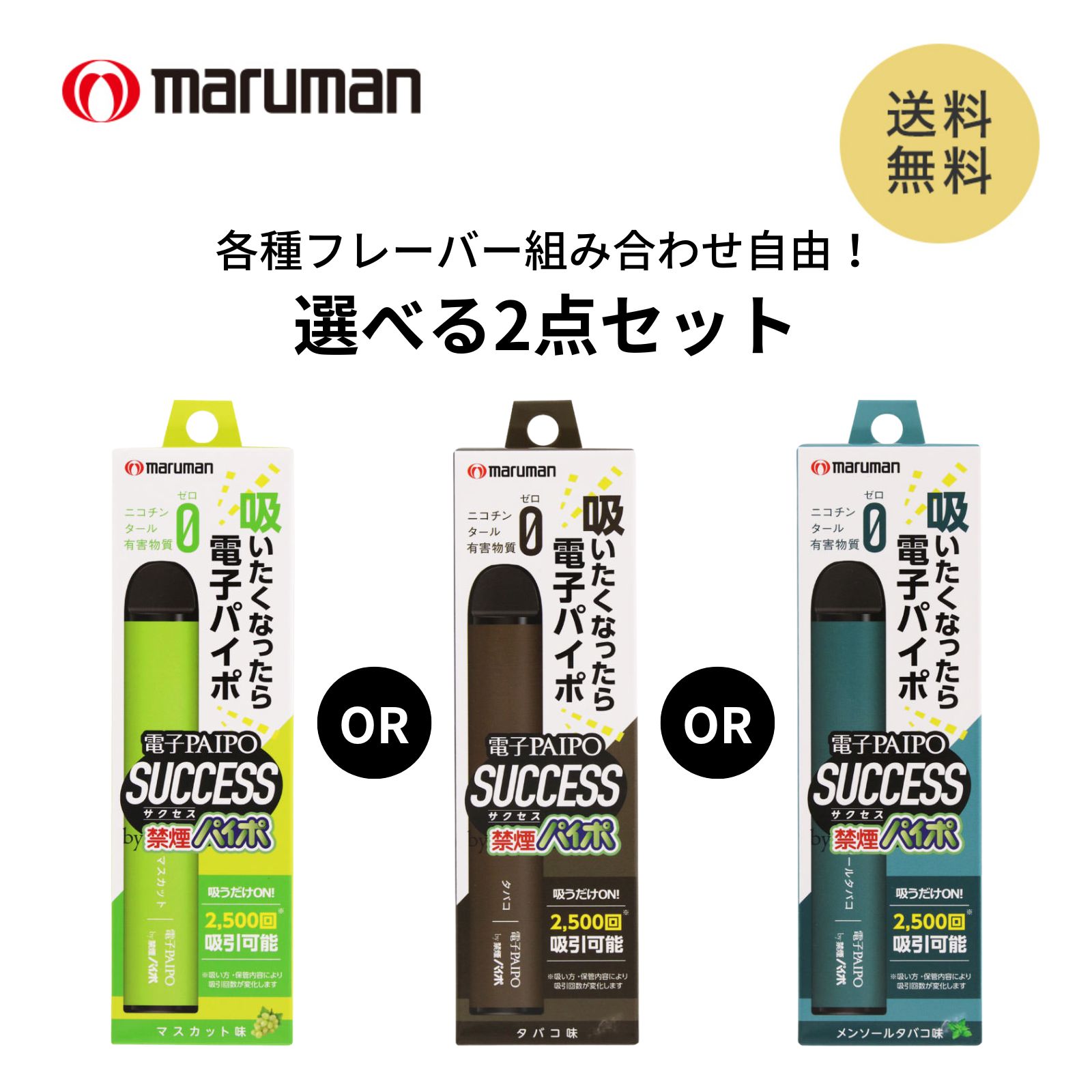 電子PAIPO SUCCESS 【選べる2個セット】 タバコ味 メンソールタバコ味 マスカット味 禁煙グッズ 禁煙 電子パイポ サクセス 電子タバコ タール ニコチン0 電子タバコ 加熱式たばこ 電子たばこ