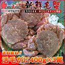 送料無料 北海道産 活毛ガニ 400g×3尾セット(1ケース)枝幸/釧路/稚内/網走/根室など旬なカニを北海道直送ギフト