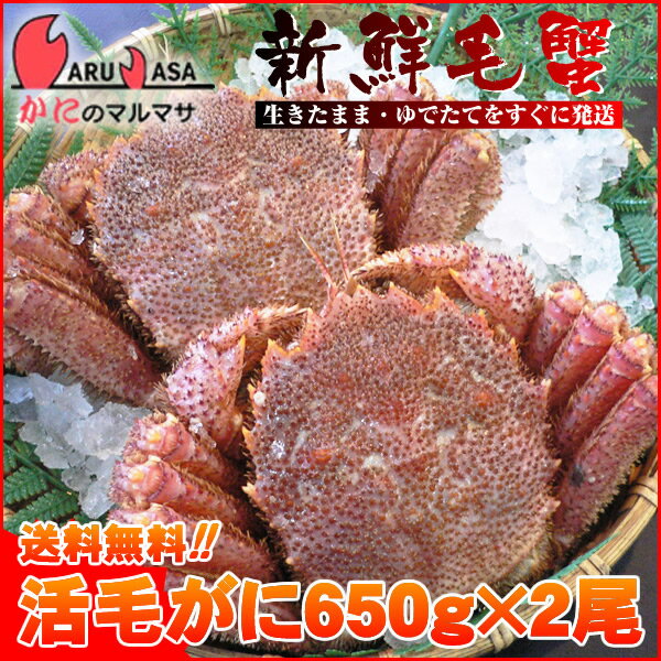 送料無料 北海道産 活毛ガニ 650g×2尾セット(1ケース)枝幸/釧路/稚内/網走/根室など旬なカニを北海道直送ギフト