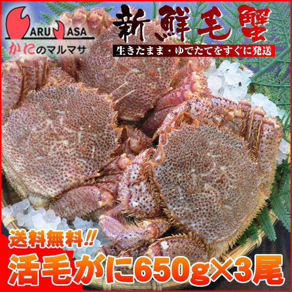 送料無料 北海道産 活毛ガニ 650g×3尾セット(1ケース)枝幸/釧路/稚内/網走/根室など旬なカニを北海道直送ギフト【あす楽対応_関東】【あす楽_土曜営業】【あす楽_日曜営業】【あす楽_年中無休】【楽ギフ_のし宛書】活毛蟹専門店の味をお試し下さい/福袋！2012年贈り物ギフトに最適！期間限定激安セール！濃厚かに味噌！お得な毛がにセットを航空便で直送！