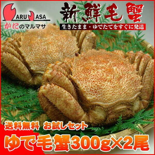 送料無料 お試しセット 北海道産 ボイル毛ガニ300g×2尾(1ケース)【あす楽対応_関東】【あす楽_土曜営業】【あす楽_日曜営業】【あす楽_年中無休】【楽ギフ_のし宛書】【楽ギフ_メッセ入力】【楽ギフ_ 送料無料】毛がに専門店の味 楽天ランキング入賞毛蟹部門ランクイン 通販限定のおためし価格 濃厚なカニ味噌が旨い。全国送料無料のお得なゆでかにトライアルセット！