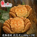 送料無料 北海道産 活毛ガニ400g×2尾セット(1ケース)カニ30%OFF！産地直送ギフト【あす楽対応_関東】【あす楽_土曜営業】【あす楽_日曜営業】【あす...