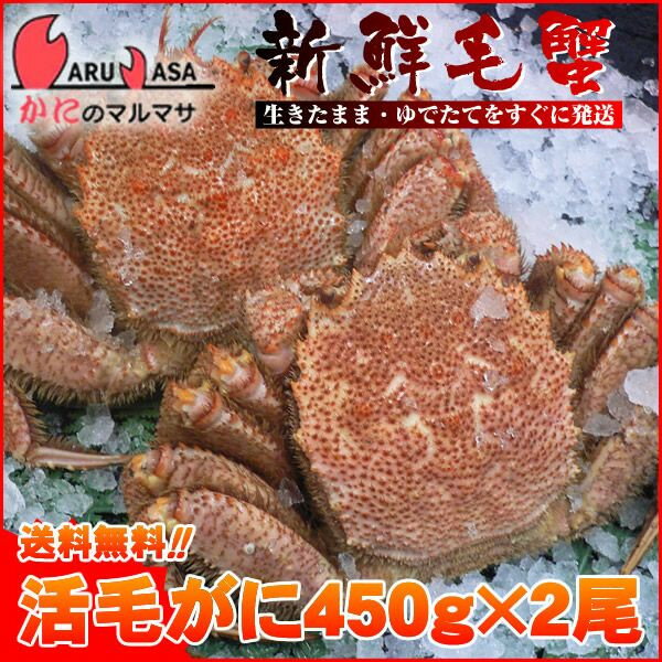 送料無料 北海道産 活毛ガニ450g×2尾セット(1ケース)カニ30%OFF！産地直送ギフト【あす楽対応_関東】【あす楽_土曜営業】【あす楽_日曜営業】【あす楽_年中無休】【楽ギフ_のし宛書】活毛蟹/毛がに専門店/福袋！贈り物ギフトに最適！楽天ランキング入賞毛カニ部門ランクイン！期間限定激安セール！濃厚なかに味噌をお試し下さい！