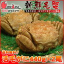 送料無料 北海道産 活毛ガニ 440g×2尾セット(1ケース)枝幸/釧路/稚内/網走/根室など旬なカニを産地直送！30%OFF【あす楽対応_関東】【あす楽_土曜営業...