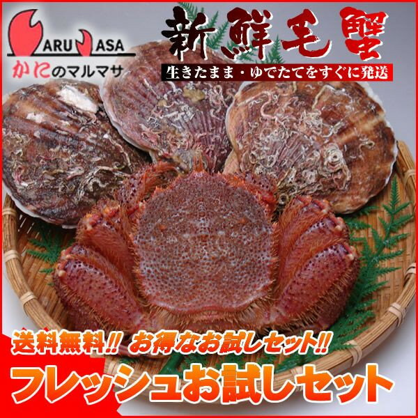 送料無料 お試しセット 北海道産 活毛ガニ/活ホタテ貝(1ケース)カニ30%OFF！産地直送【あす楽対応_関東】【あす楽_土曜営業】【あす楽_日曜営業】【あす楽_年中無休】【楽ギフ_のし宛書】お刺身用の活毛蟹と活帆立貝のセット！かに味噌たっぷりの毛がに！殻付きの活ほたて貝は焼いても美味しい！全国送料無料 お得な通販限定トライアルセット！