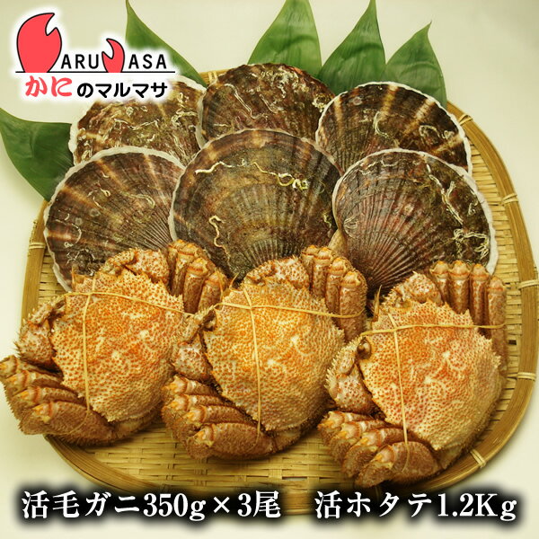 ［海鮮セットF］北海道産活毛ガニ350g×3尾＆活ホタテ貝1.2kgセット