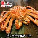お歳暮 ギフト 活たらばがに あす楽【北海道直送 冷蔵 活タ...