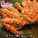 北海道直送 活タラバガニ 2.3kg 期間限定セール カニの王様 本タラバ蟹！【楽ギフ_のし宛書】【楽ギフ_メッセ入力】